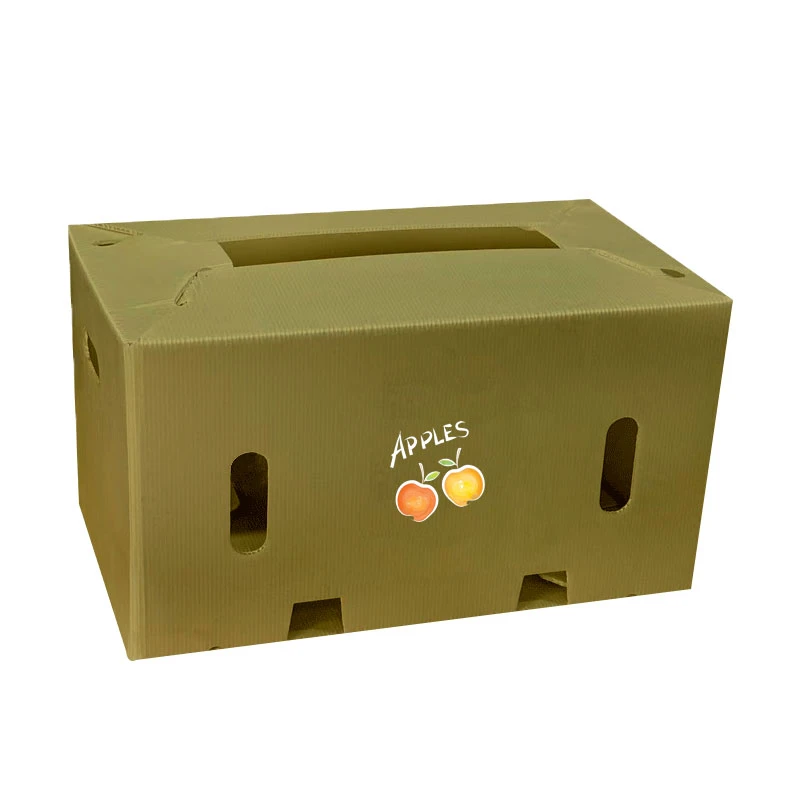 PP ochranný box